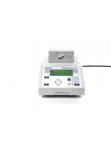Eppendorf Mastercycler Gradient Thermal Cycler
