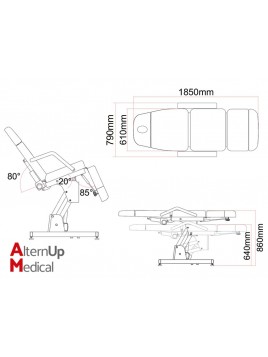 Amira Electric Chair - 2 Motors
