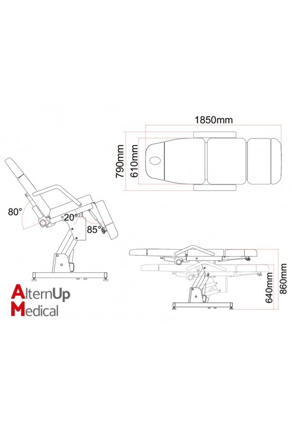 Amira Electric Chair - 2 Motors