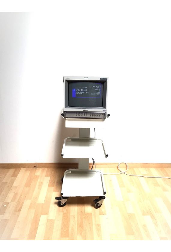 Sony Trinitron PVM-14L2MD video color Monitor