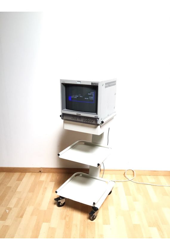 Sony Trinitron PVM-14L2MD video color Monitor