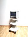 Moniteur vidéo couleur Sony Trinitron PVM-14L2MD