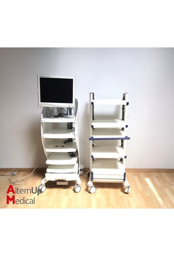 Lot of 2 Endoscopy Trolleys with Stryker Monitor