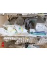 Lot of Disposables and Accessories with Trolley