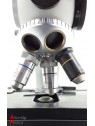 Microscope Binoculaire Zeiss 467085