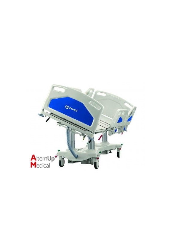 FAMED LE-13 ICU Hospital Bed