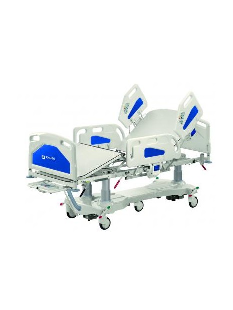 FAMED LE-13 ICU Hospital Bed