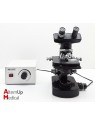 Microscope de Paillasse Wild Heerbrugg