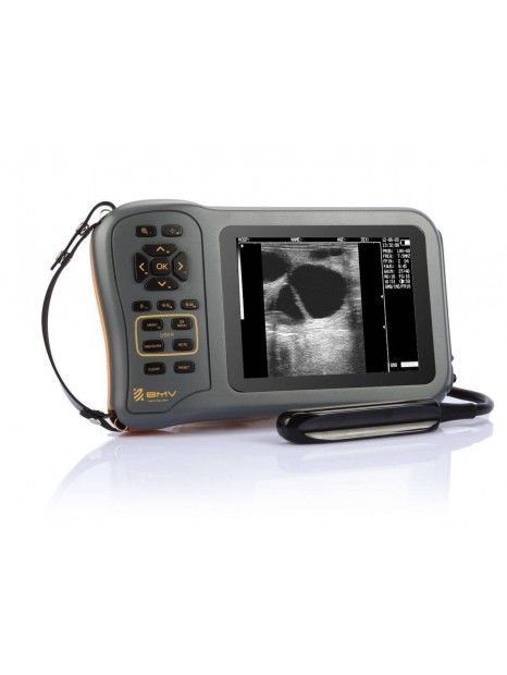 Echographe Portable Vétérinaire FarmScan L60 BMV
