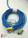Datex Ohmeda S5 Vital Signs Monitor