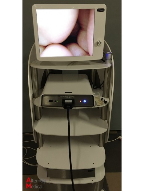 VIMS VLS650 Coelioscopy Column