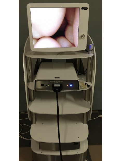 VIMS VLS650 Coelioscopy Column