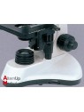 Microscope Biologique - 40X à 1600X