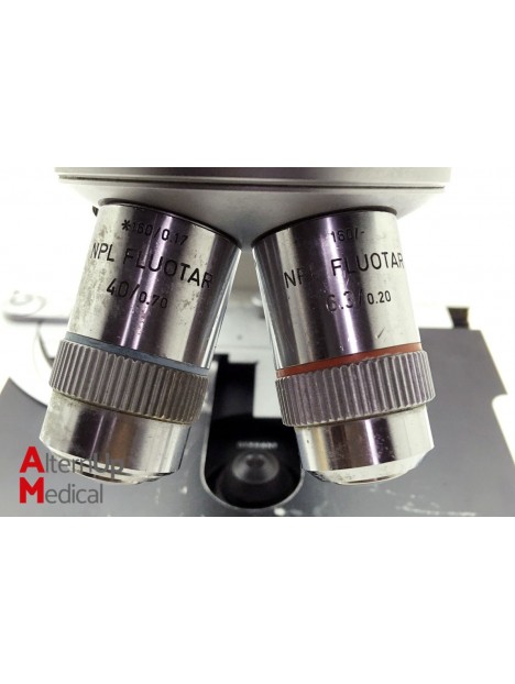 Microscope Binoculaire Leitz SM-LUX