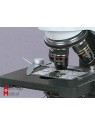 Microscope Biologique - 40X à 1600X