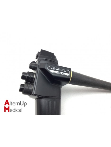 Endoscope Olympus GIF Type V2