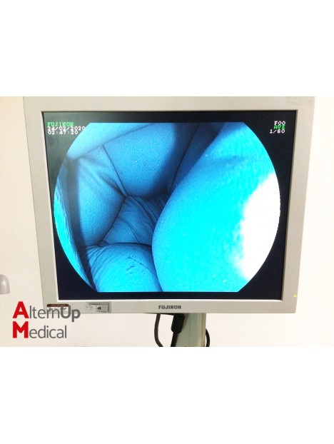Fujinon EG 530WR Gastroscope