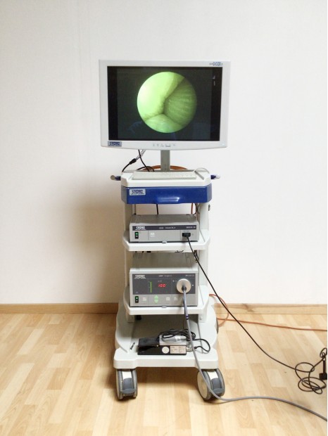 Colonne d'Endoscopie Storz Tricam SL 2