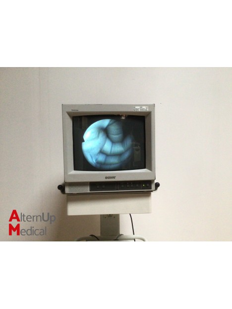 Biodigital CA2 Endoscopy System