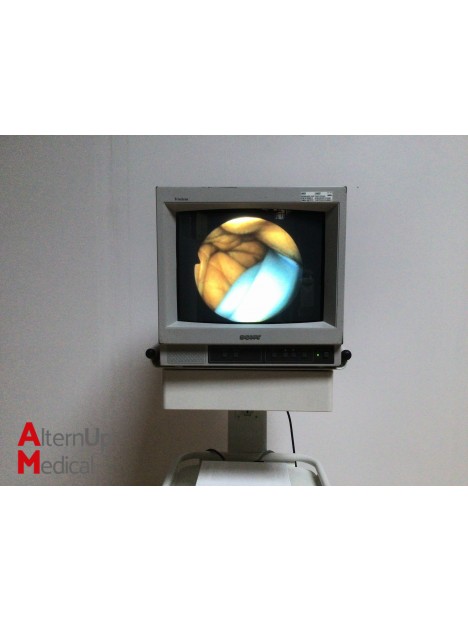 Biodigital CA2 Endoscopy System