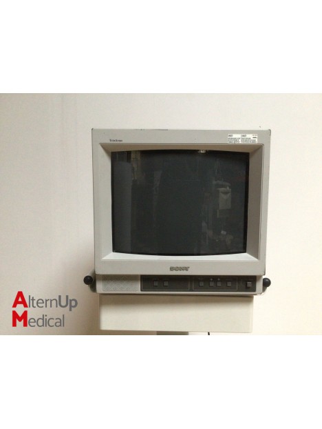 Système d'endoscopie Biodigital CA2