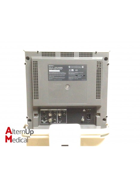 Biodigital CA2 Endoscopy System