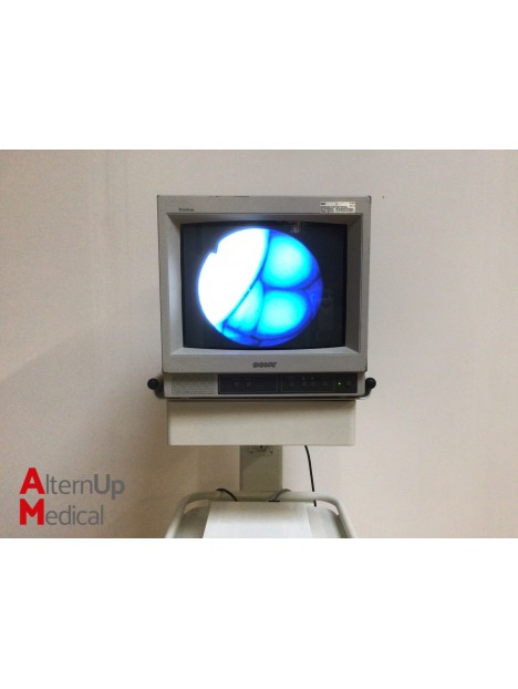 Biodigital CA2 Endoscopy System