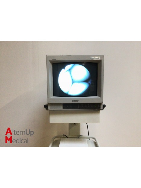 Biodigital CA2 Endoscopy System