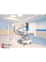 Chariot de Transport pour Patient Famed SPARK WP-02.1