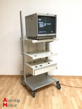 Sony Trinitron PVM-20M2MDE Monitor