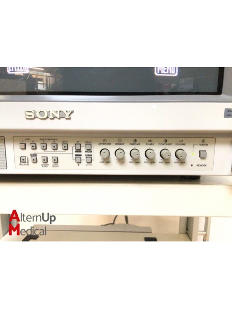 Moniteur Sony Trinitron PVM-20M2MDE