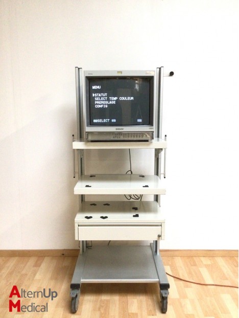 Sony Trinitron PVM-20M2MDE Monitor