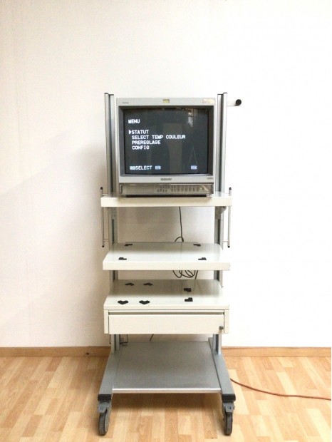 Sony Trinitron PVM-20M2MDE Monitor