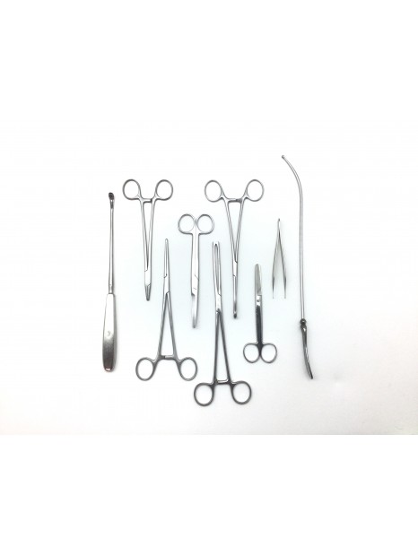 Landanger Gynecological Instruments Kit