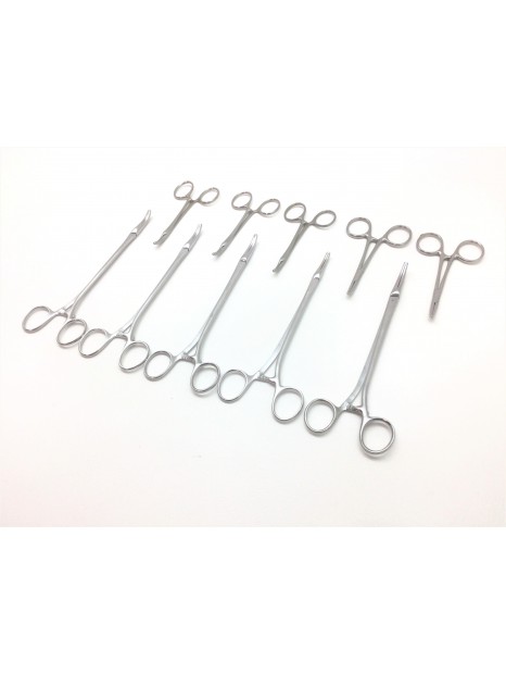 Set of 10 Parametrium Forceps