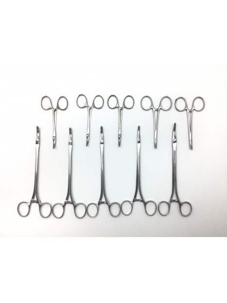 Lot De 10 Pinces Hémostatiques Kelly Courbes 6,25 Pouces - Mâchoires Crantées, Verrouillage 3 Crans - Pour Dentisterie, Pêche, Soins