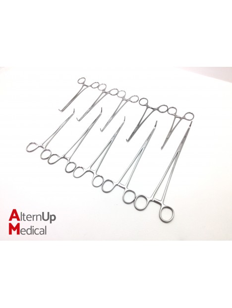 Set of 10 Parametrium Forceps