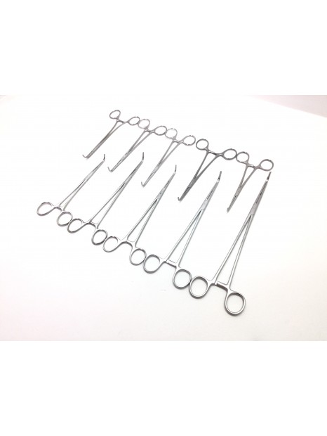 Set of 10 Parametrium Forceps